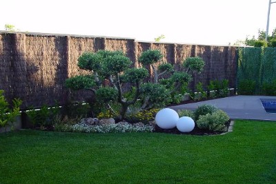 Jardineria Zaragoza Jardineria Zaragoza